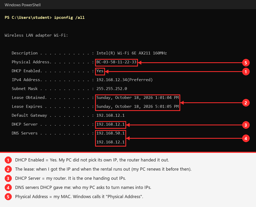 dhcp-ipconfig-all.png