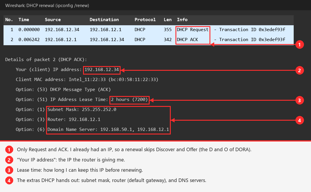 dhcp-wireshark.png